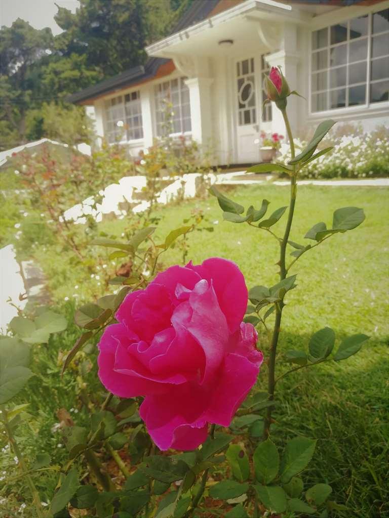The Victoria Bungalow Nuwara Eliya Zewnętrze zdjęcie